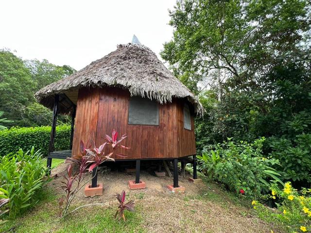 Thatched-roof cabin in the garden