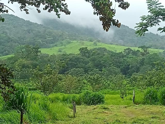 Green valley property