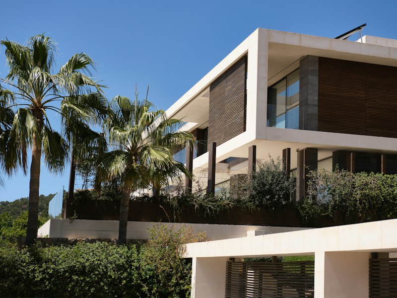 Modern house among palm trees