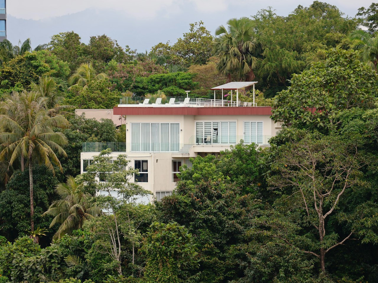 Modern villa on a forested hillside